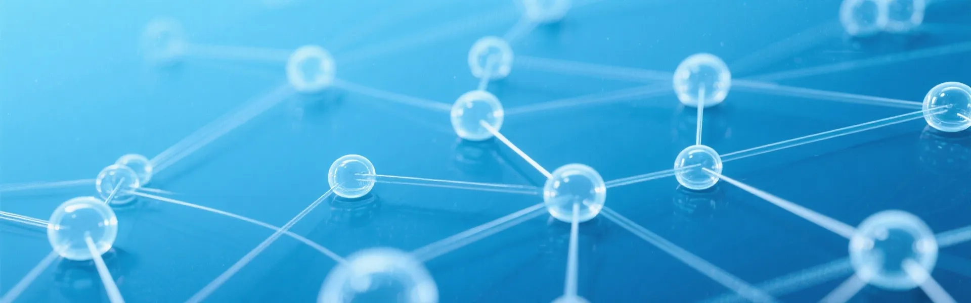 Data Network Background